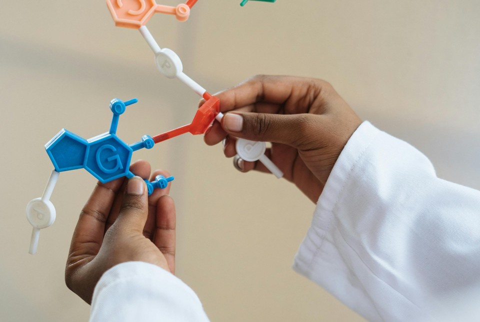 Transformasi Perguruan Tinggi Berbasis Penguatan SDM